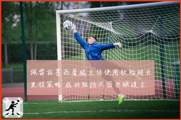 佩雷兹墨西哥城主场使用软胎超长里程策略 成功阻挡汉密尔顿追击